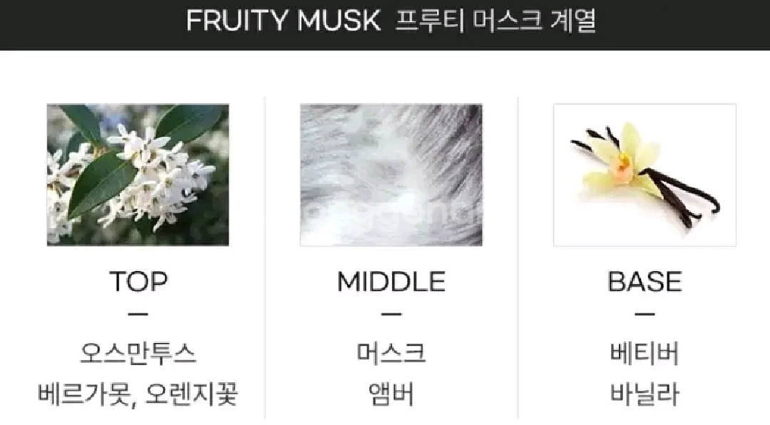 나르시소 로드리게즈 포허 오드뚜왈렛 100ml--2