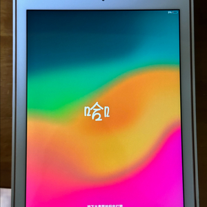 아이패드 6세대 128GB WiFi 골드