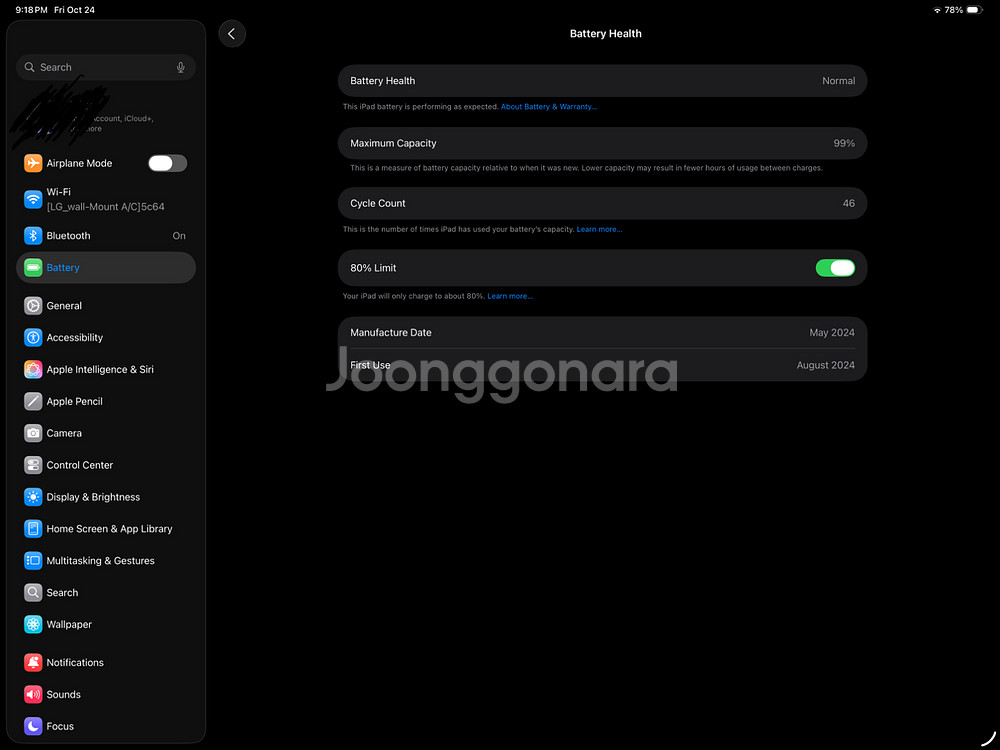 아이패드 프로 13 M4 1TB(ram 16gb, 애캐플 포함!)--5