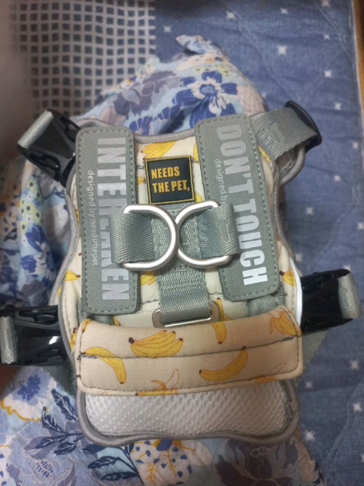 니즈더펫 강아지 하네스 거의새상품 이미지