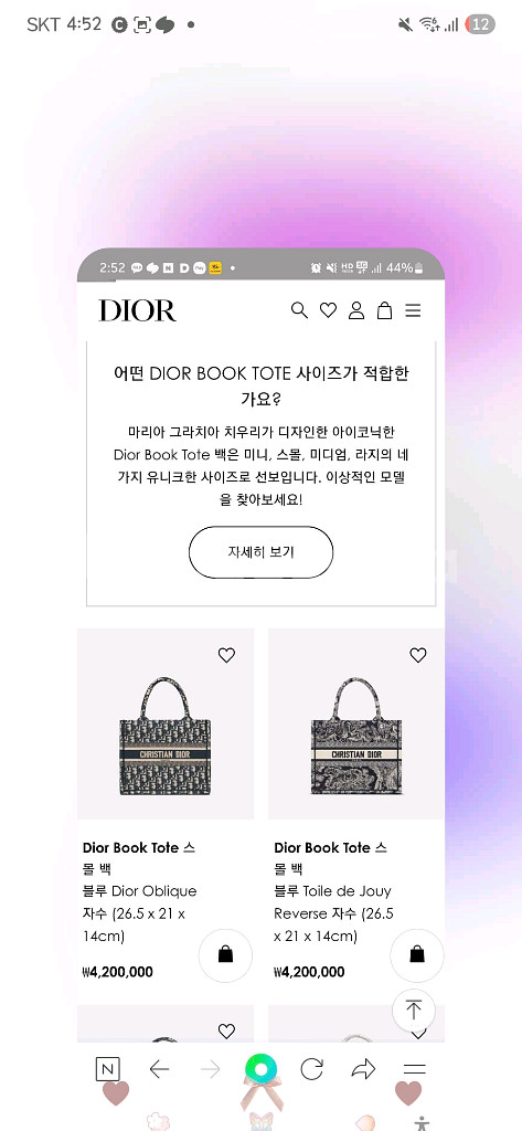 디올 북토트 블루 스몰백--8