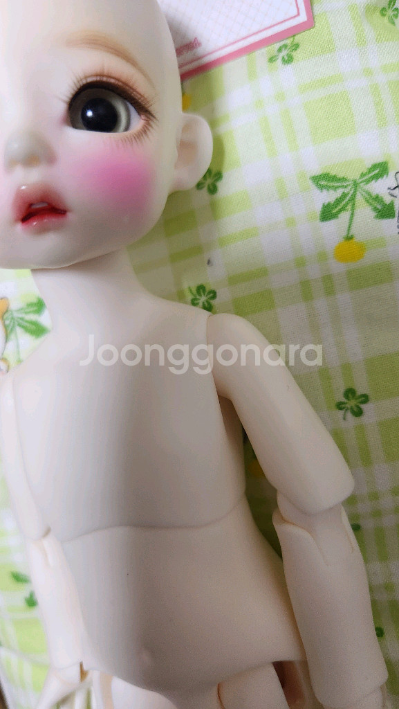 치카비 구체관절 인형--3