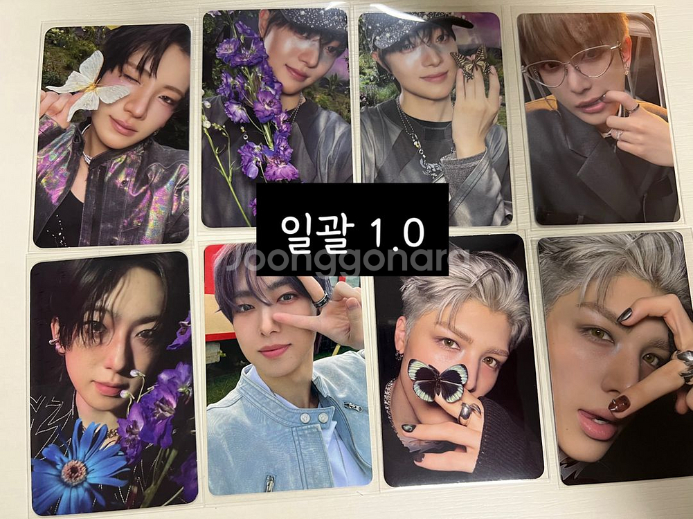 앤팀 포카, 굿즈, 인형 판매합니다!--1