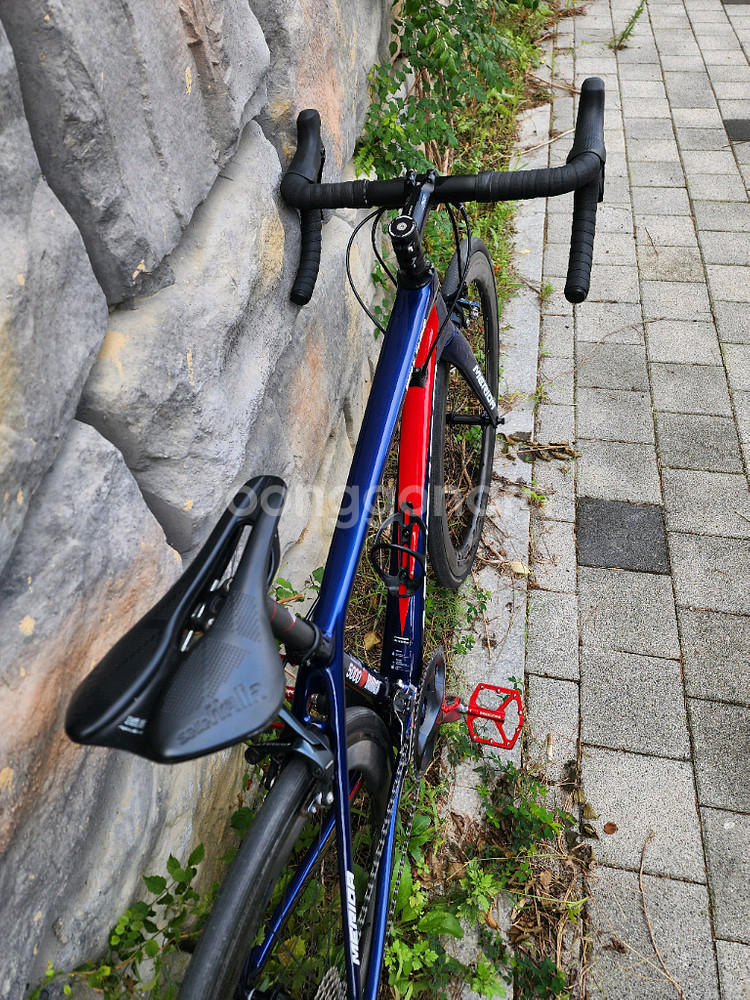 2018 메리다 스컬트라5000 팀바레인 판매합니다--3