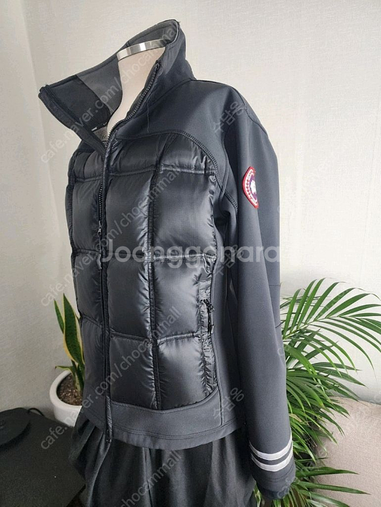 캐나다구스 패딩 점퍼--1