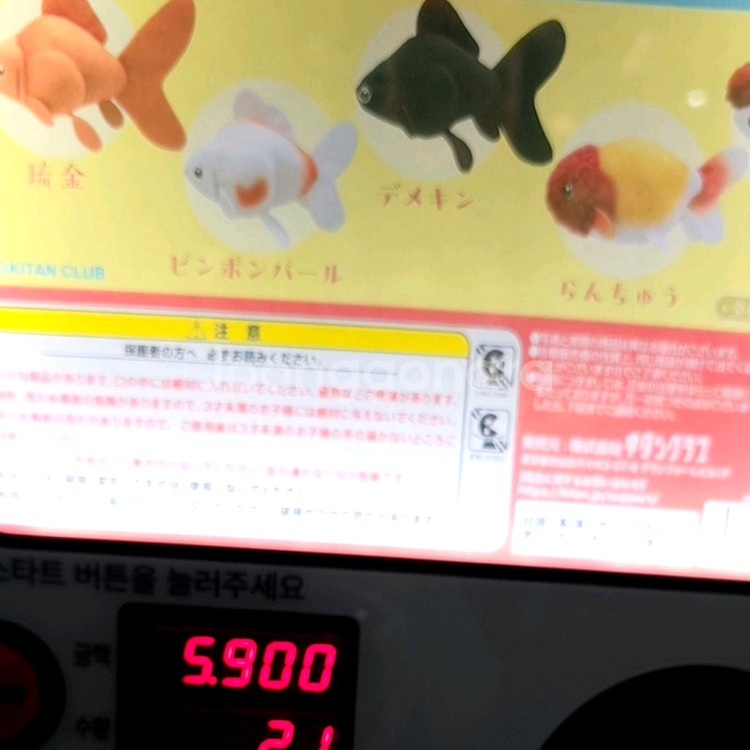 금붕어 어항 메지루시 가챠 인형 판매 or교환--2