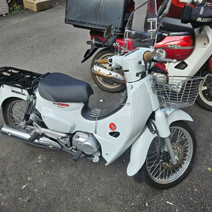 24년식 슈퍼커브110 흰색 스포크휠 이미지