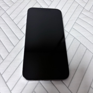 아이폰 13 프로 128 시에라블루