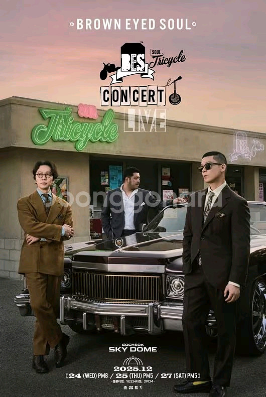 브라운아이드소울 콘서트 티켓 양도--0