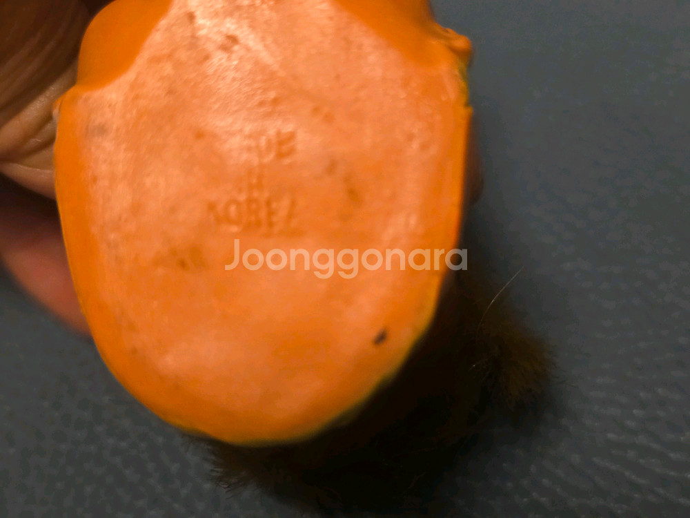 고전인형, 못난이 삼형제, 국산--3