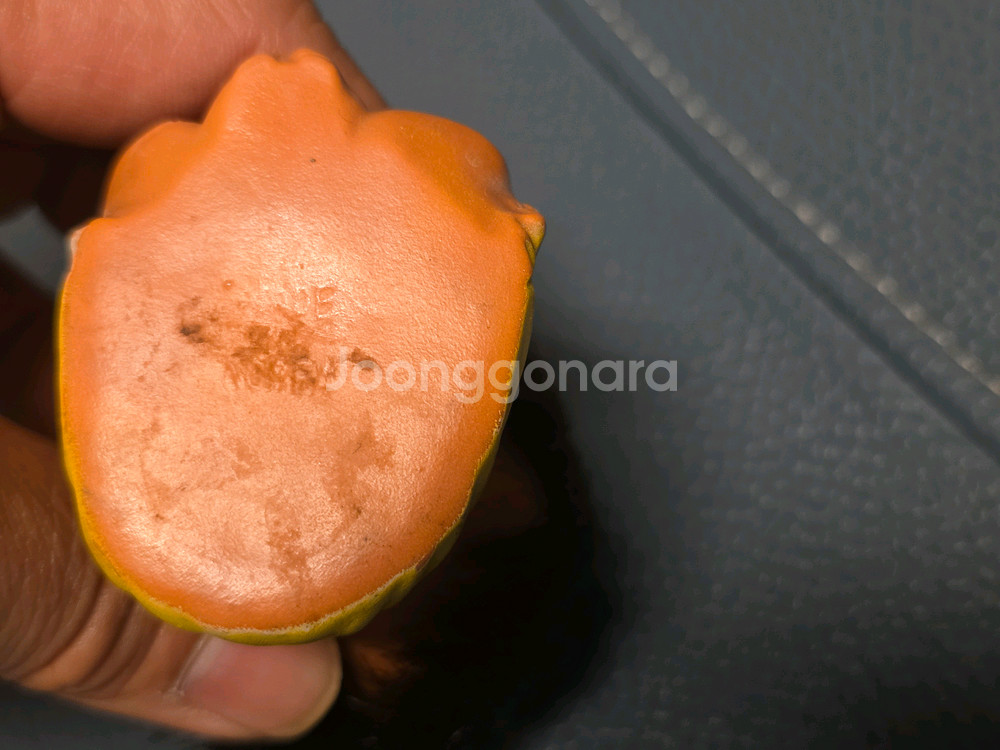 고전인형, 못난이 삼형제, 국산--5