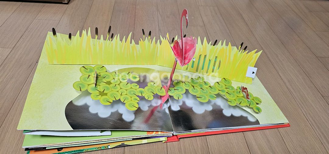 교원 열려라지식문--3