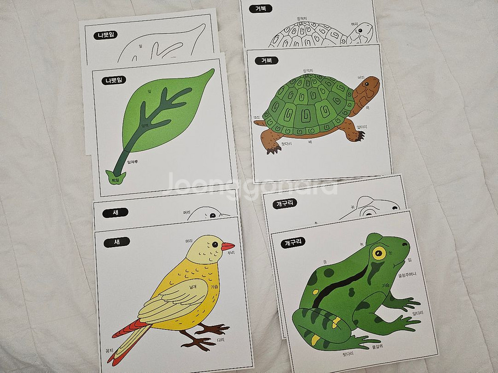 다원몬테소리 동식물 명칭퍼즐 꼭지퍼즐--2