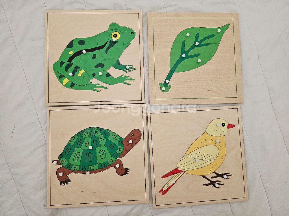 다원몬테소리 동식물 명칭퍼즐 꼭지퍼즐--0