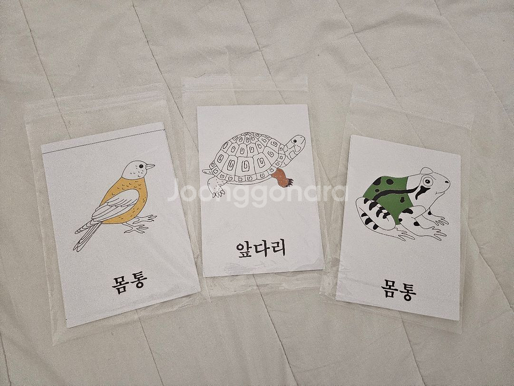 다원몬테소리 동식물 명칭퍼즐 꼭지퍼즐--3