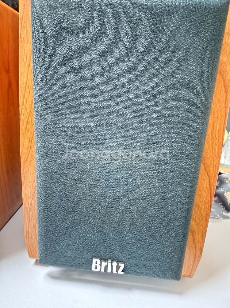 브리츠 BR-1000A2 스피커--4