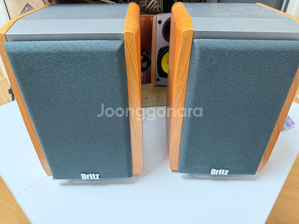 브리츠 BR-1000A2 스피커--3