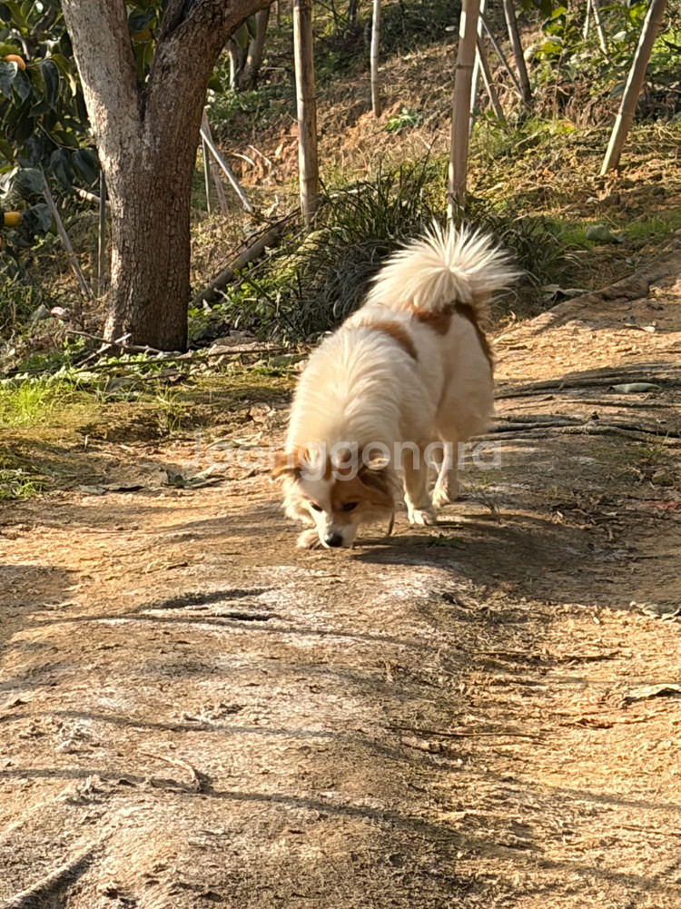 Sk주유권 30000 예약--0