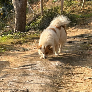 Sk주유권 30000 예약