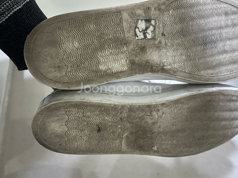 커먼프로젝트 아킬레스로우 스니커즈 41사이즈--3