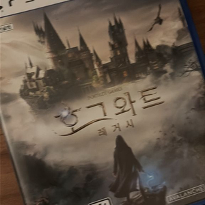 PS5 호그와트 레거시