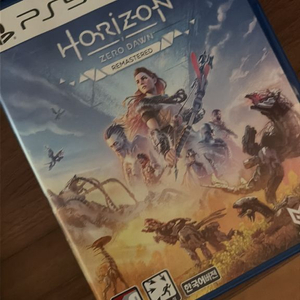 PS5 호라이즌 제로던