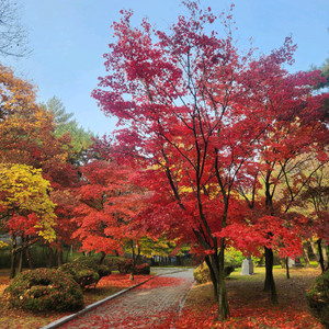 cgv일반관 2d 영화 2인 예매