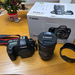 캐논 EOS 6D , EF 24-70 F2.8(신계륵)