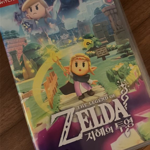 닌텐도 스위치 젤다의전설 지혜의투영