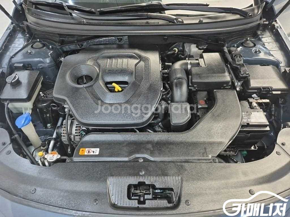 [현대]LF 쏘나타 2.0 스마트 기본형 (5인승) #앱특가--4