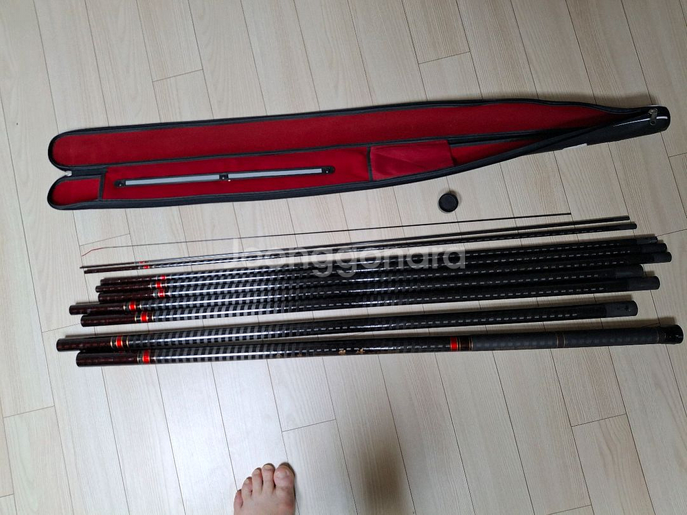 용성 바다민태 보른취몽 50대--1