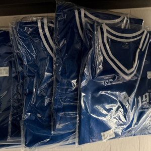 삼성라이온즈 최다관중티 110