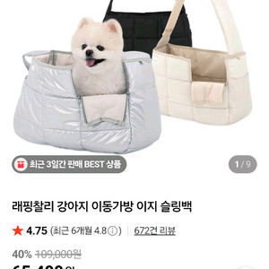 래핑찰리 강아지 이동가방 슬링백
