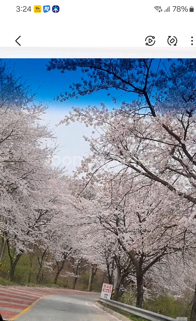 스타벅스 아이스아메--0