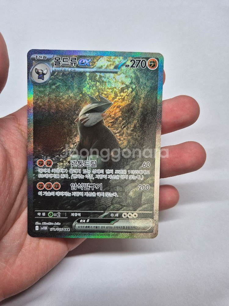 포켓몬카드 몰드류 ex--0