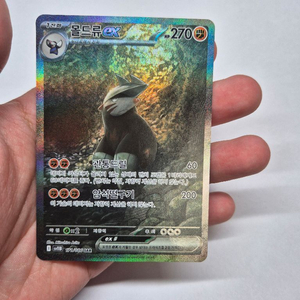 포켓몬카드 몰드류 ex