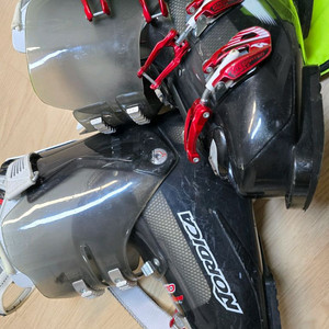 노르디카 스키브츠