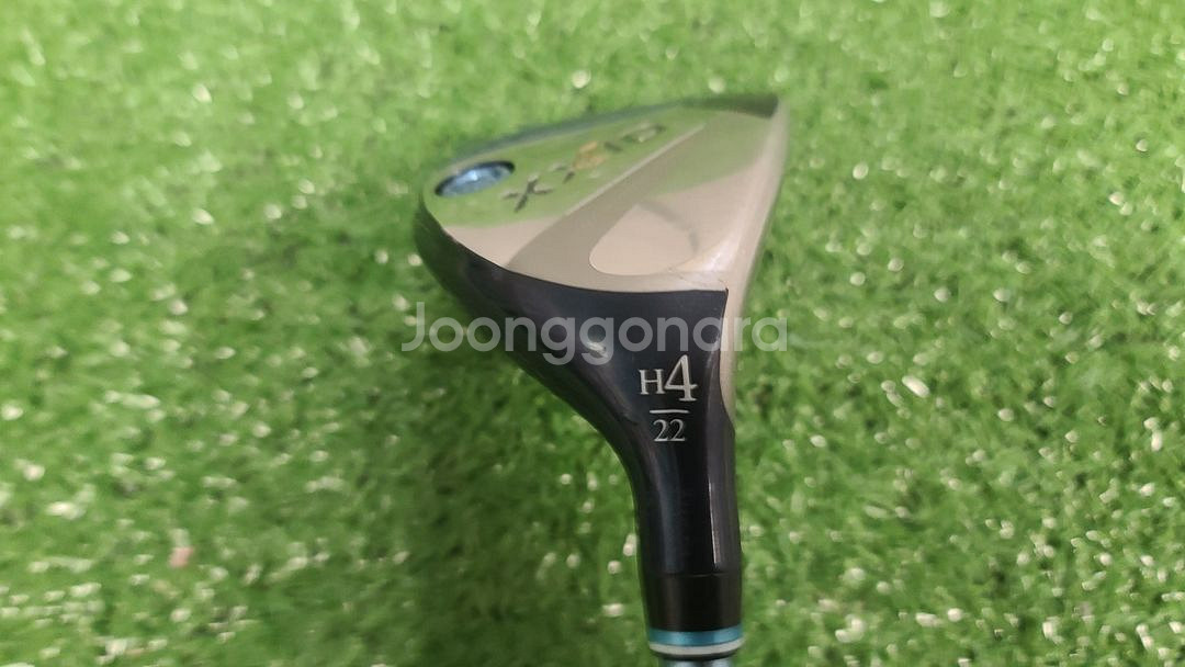 여성용) 젝시오13 22도 4번유틸리티 MP1300 L강도 / D251114--1