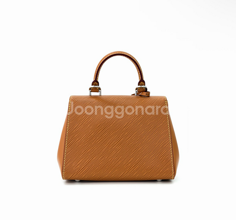 [MINI] 루이비통 여성 에삐 클루니 토트백 크로스백 미니 골드 미엘--3