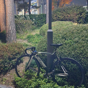 벨로라인 크리스토퍼러스 픽시 팔아요