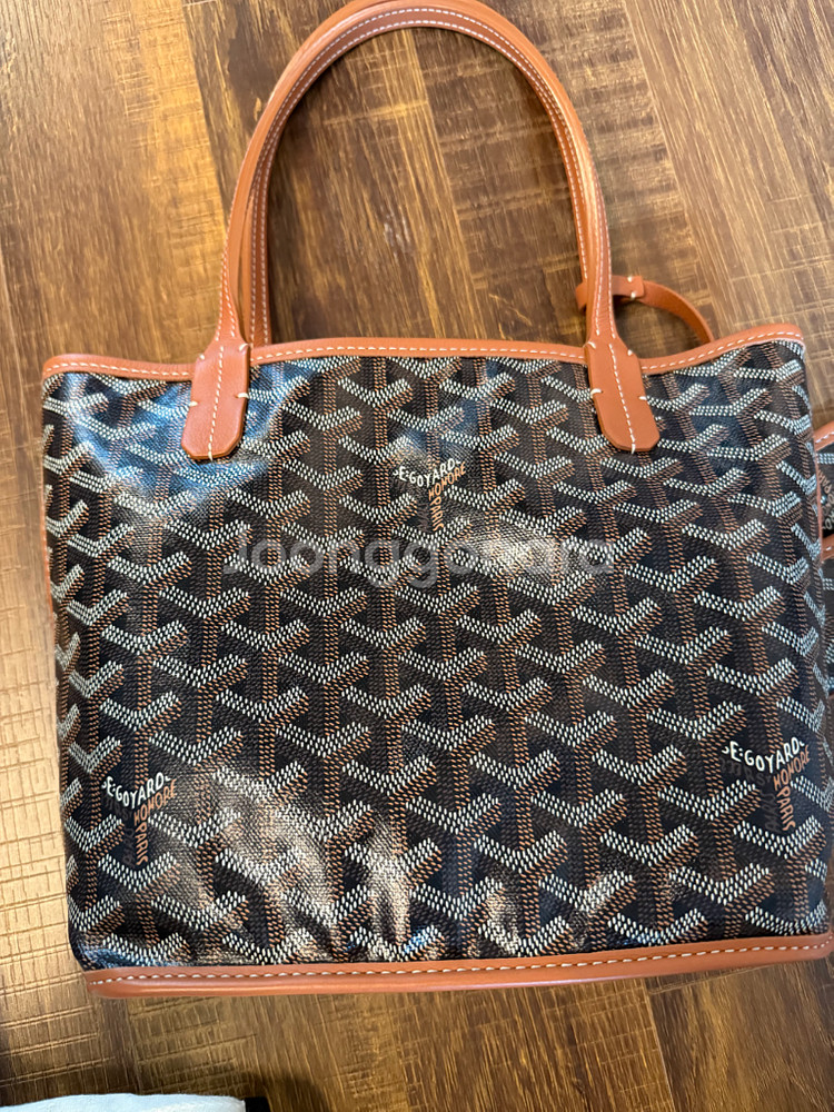 고야드 미니앙주 미니앙쥬 도트백--3