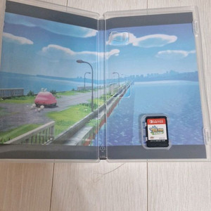 닌텐도 스위치 커스텀 게임팩