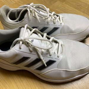 아디다스 골프화 265 남성