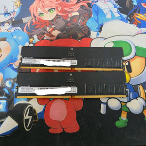 팀그룹 DDR5 32GB 메모리 2개