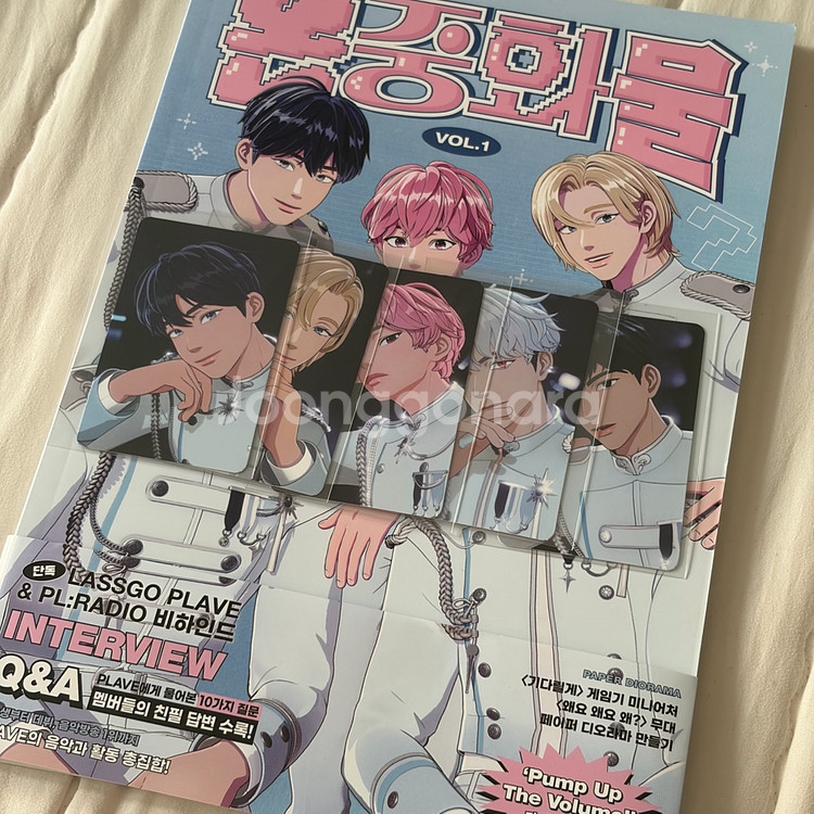 플레이브 논중화물1 +포카--0