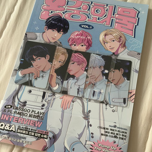 플레이브 논중화물1 +포카