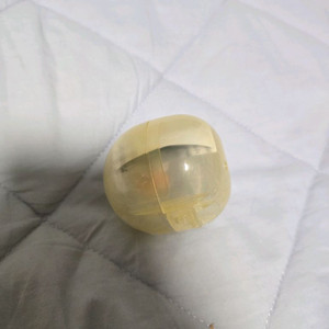 [교환] 산리오 시나모롤 계절과 함께 콜렉션 재미있는 호박 가챠