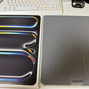 아이패드프로 13인치 M5 256GB 와이파이 실버 팝니다. 165만원.