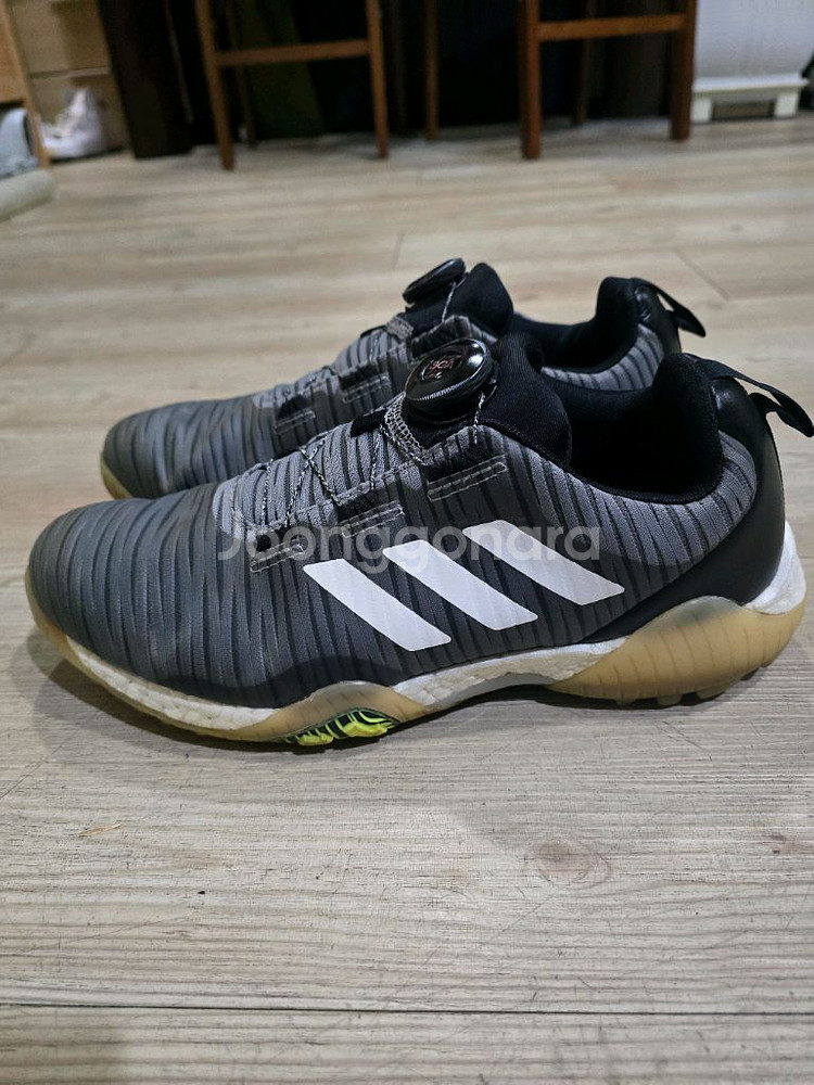 아디다스 골프 코드케이오스 스파이크리스 보아골프화 255mm--0