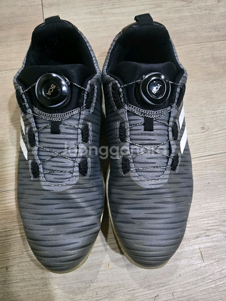 아디다스 골프 코드케이오스 스파이크리스 보아골프화 255mm--1